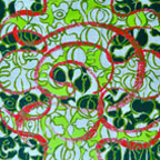 Liane Collins, New Signs Art, Combines